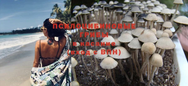 гашик Струнино