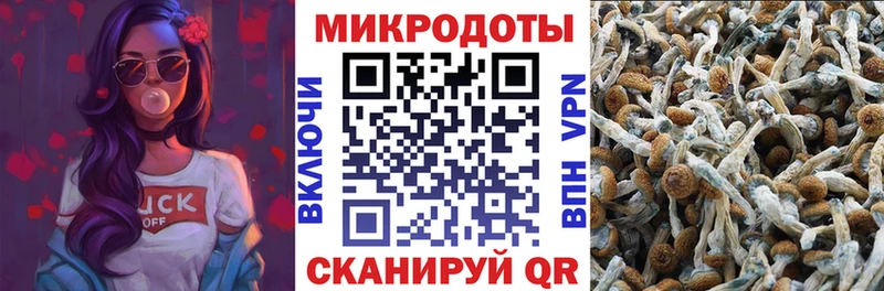 мориарти официальный сайт МЕГА ССЫЛКА Петров Вал Галлюциногенные грибы Psilocybine cubensis