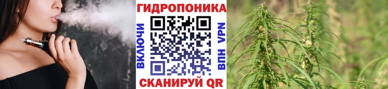 купить закладку  Петров Вал  hydra онион  Каннабис сатива 